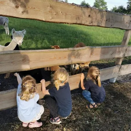 Igluhut 3 Bahrenborstel