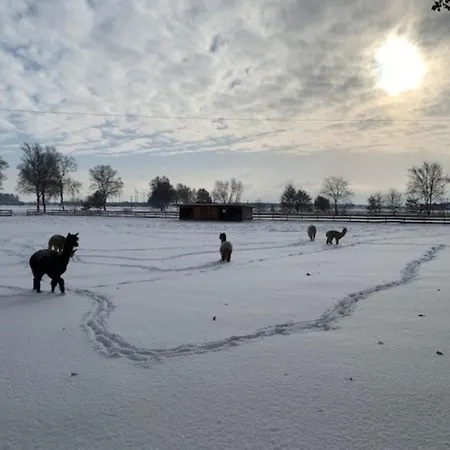 Holiday home Igluhut 3