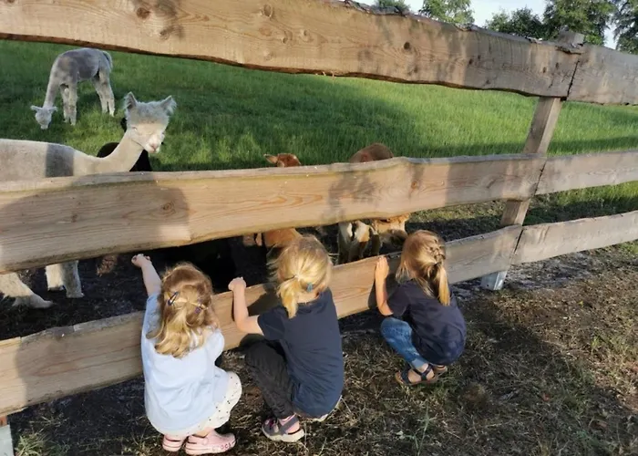 Igluhut 3 Bahrenborstel