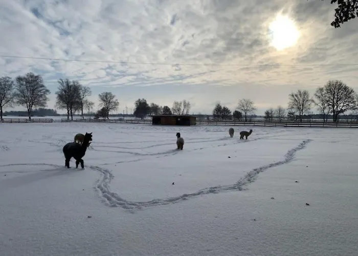 Holiday home Igluhut 3